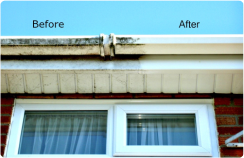 Fascia and Soffit Cleaning