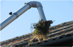 Gutter Cleaning